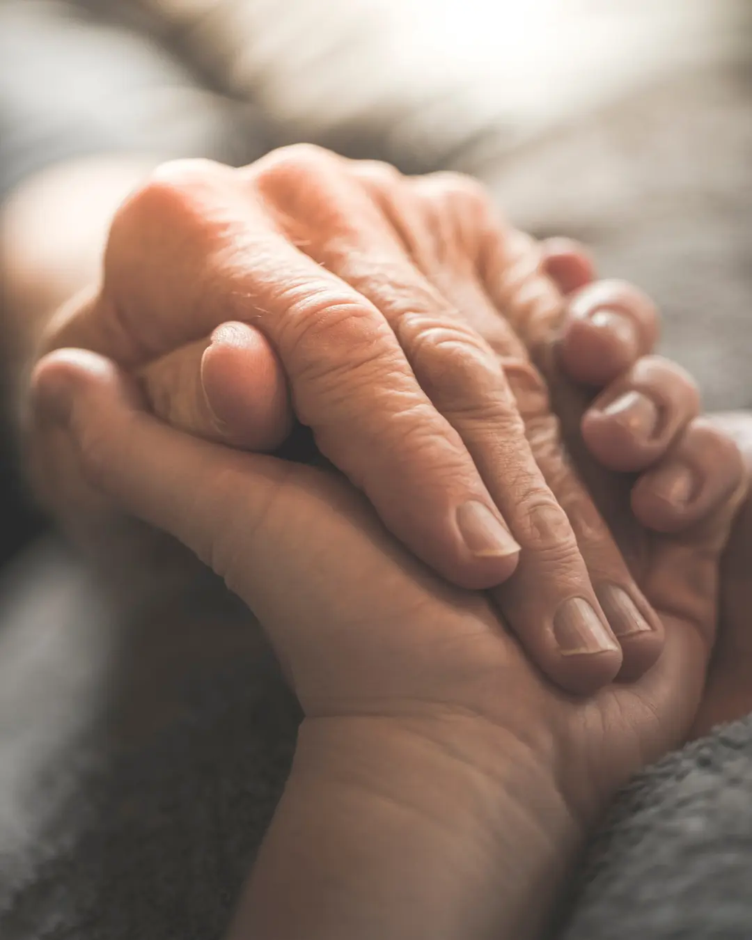 Talleres para Adultos Mayores